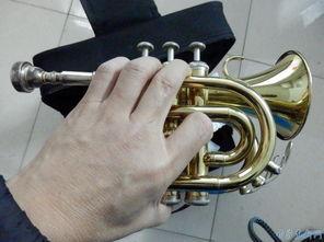 国产掌,引领科技潮流的创新之作