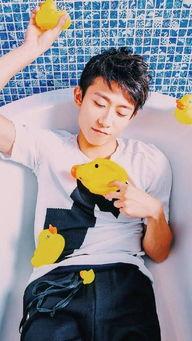 国产 哥哥,哥哥的崛起之路